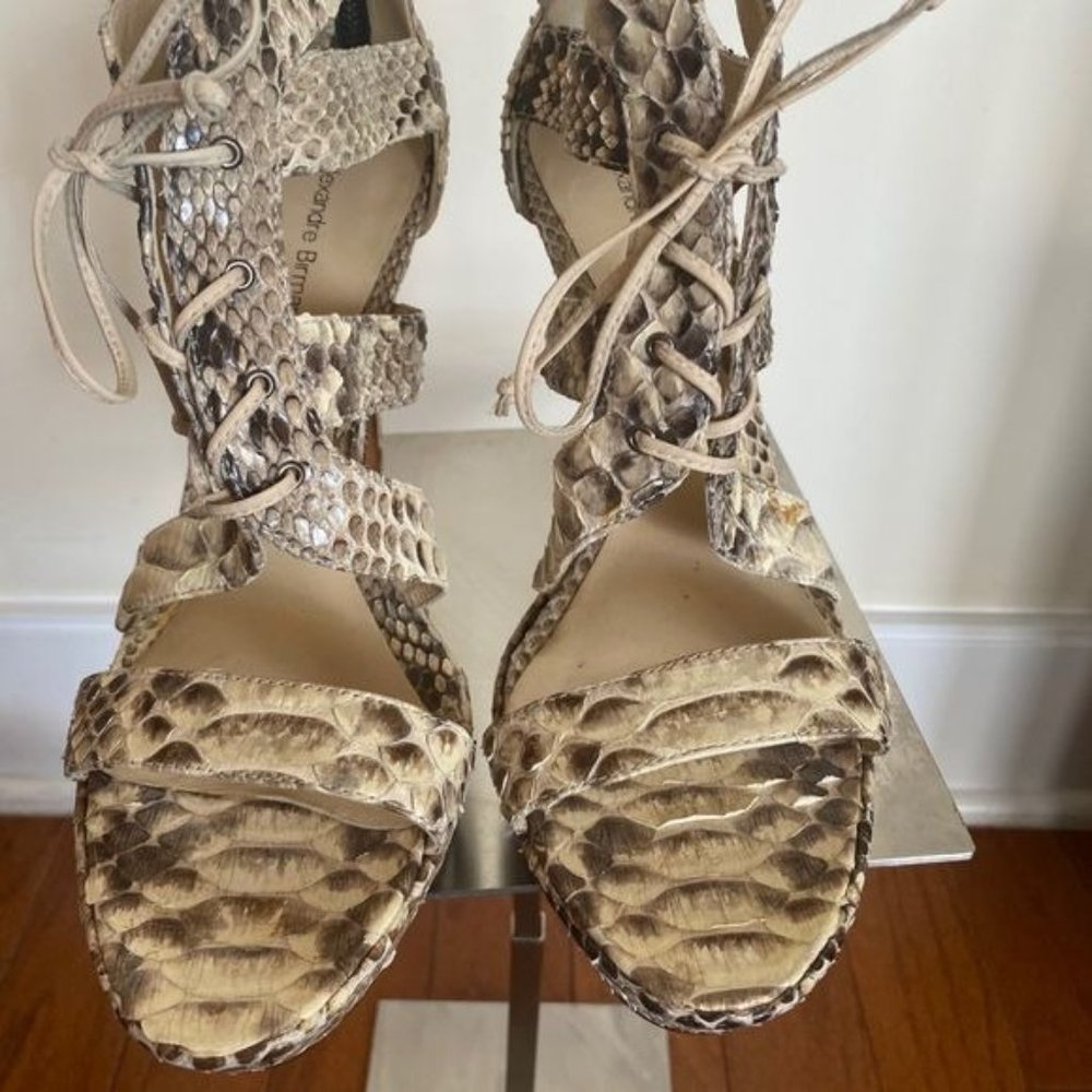 Alexandre Birman Platform Pump Python Cage Gladia… - image 4